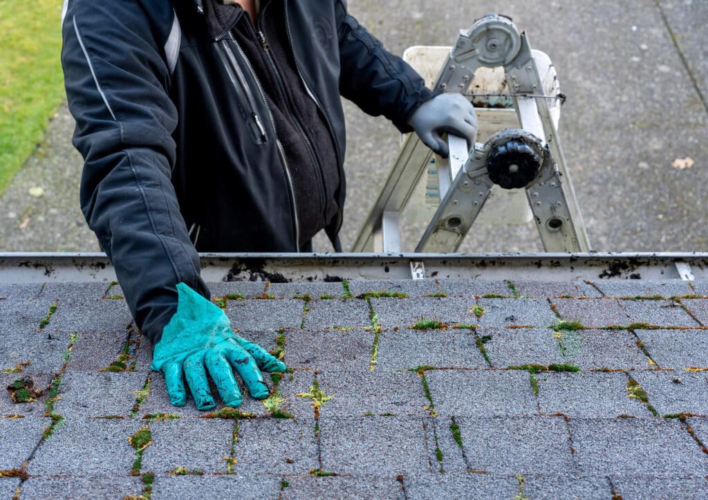 DIY roof inspection